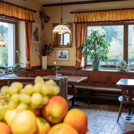 Zum Sessellift 3* 米特尔巴赫