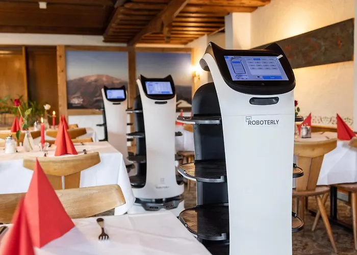 Zum Sessellift Hotel